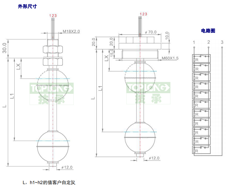 2260型直桿式液位計(jì)（開(kāi)關(guān)）